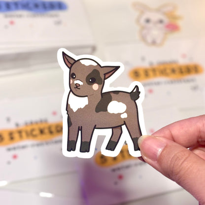 Mystery B-Grade Water-resistant Sticker Set (5pcs)