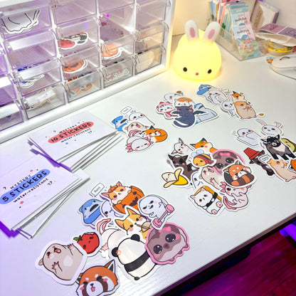 Mystery Water-resistant Sticker Set