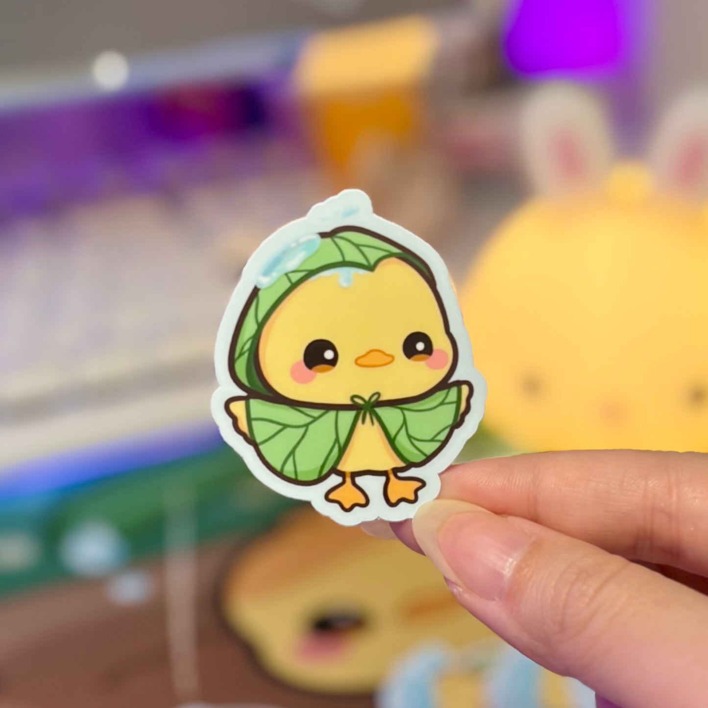 Under the Lily Pad Bundle